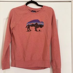 Patagonia Sweatshirt